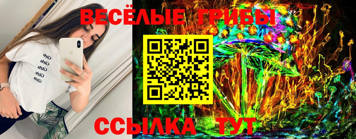Псилоцибиновые грибы прущие грибы Хабаровск