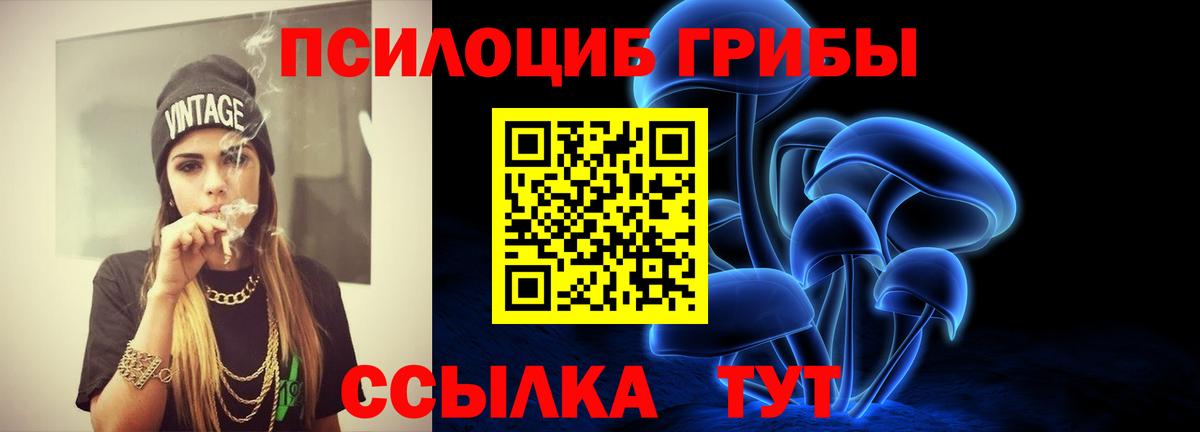 Хабаровск  Псилоцибиновые грибы MAGIC MUSHROOMS  Псилоцибиновые грибы MAGIC MUSHROOMS  Вход с VPN 